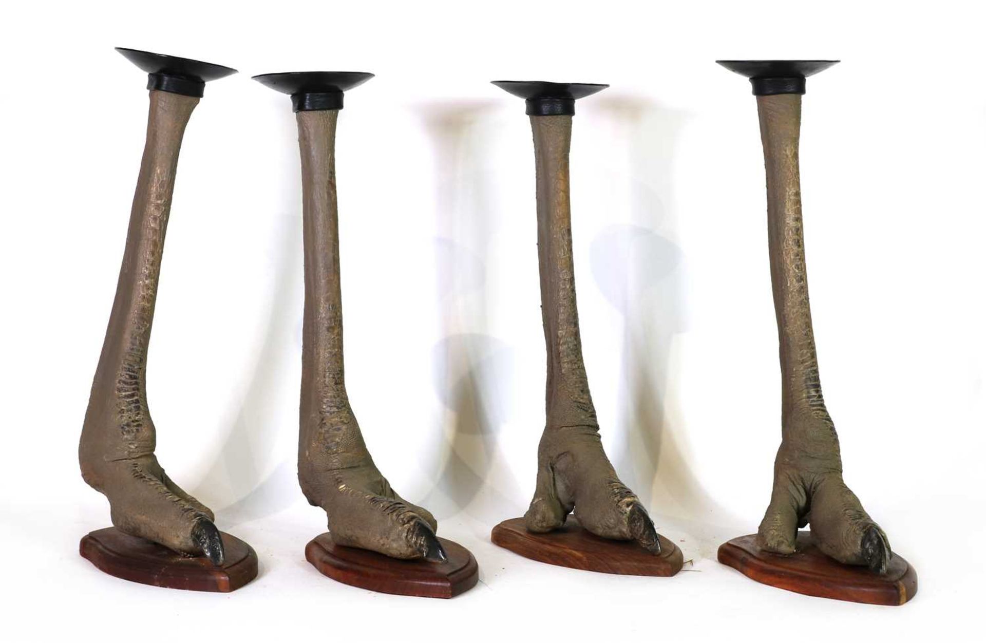Taxidermy: Four ostrich foot candle holders - Image 3 of 4
