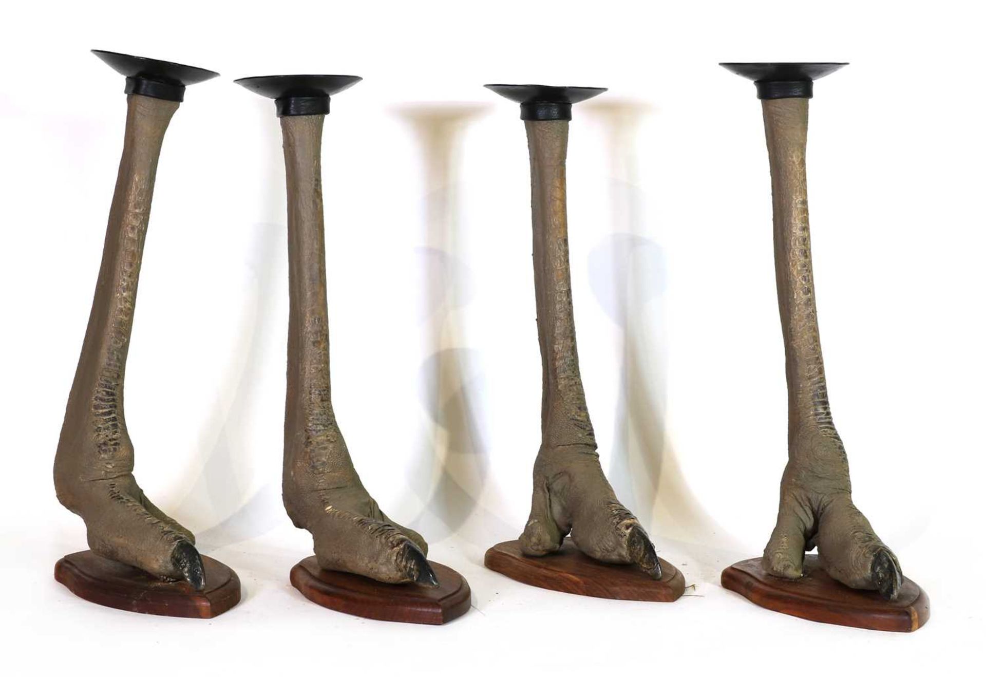 Taxidermy: Four ostrich foot candle holders - Image 2 of 4