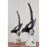 A pair of Meissen models of magpies,