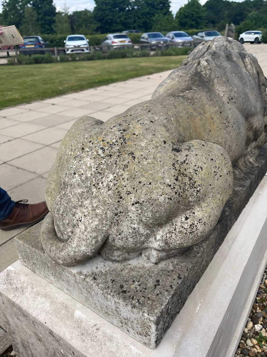 A pair of monumental marble lions on plinths, - Image 19 of 25