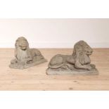 A pair of reconstituted stone recumbent lions,