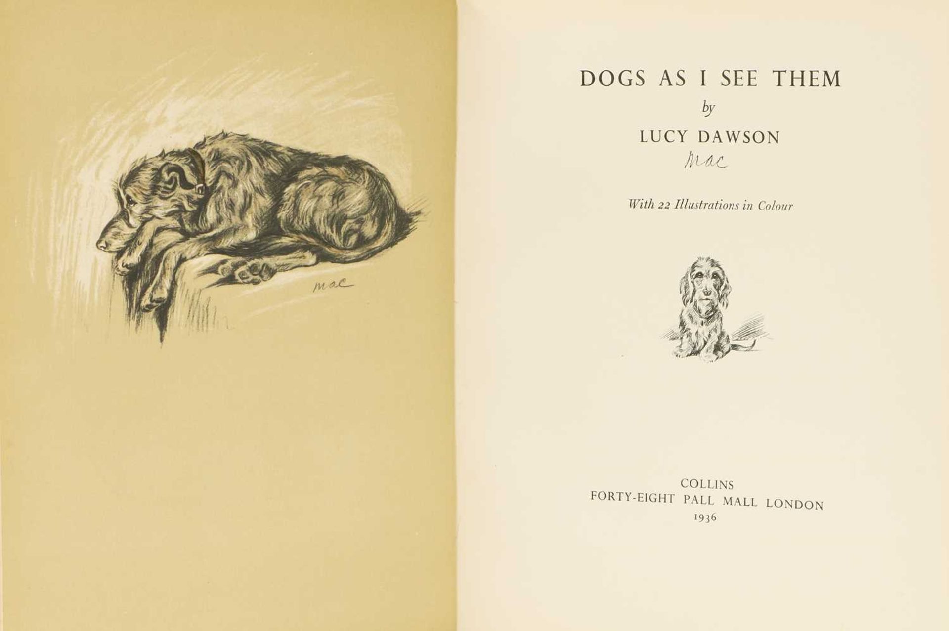 LUCY DAWSON: - Image 4 of 4