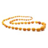 A single row graduated butterscotch amber bead necklace,