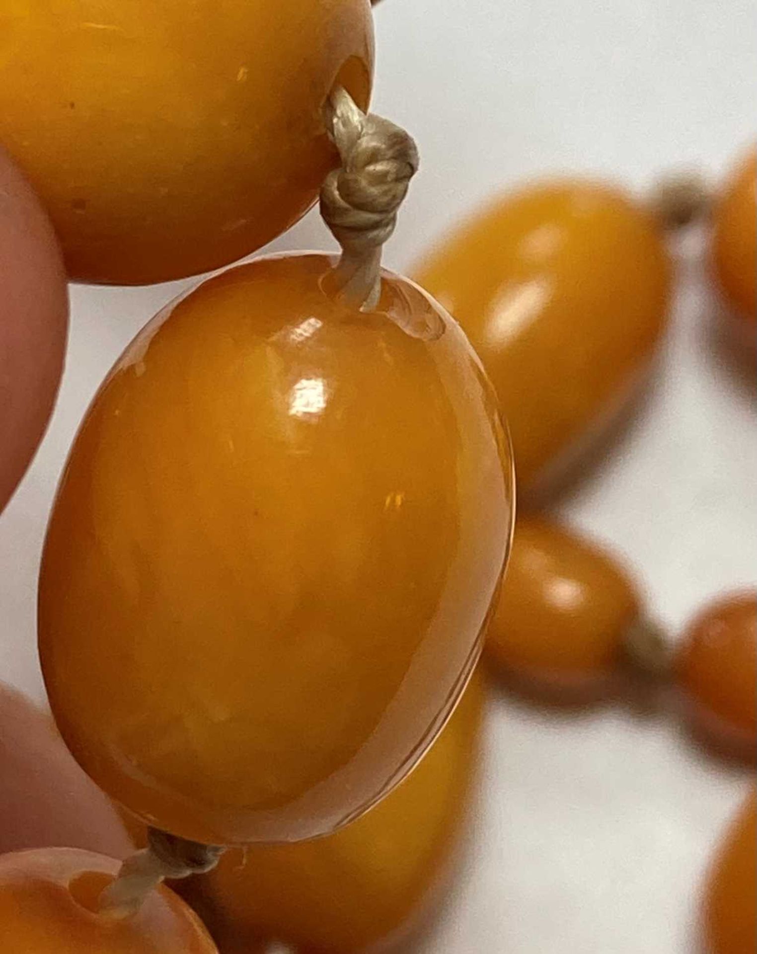 A single row graduated butterscotch amber bead necklace, - Bild 12 aus 12