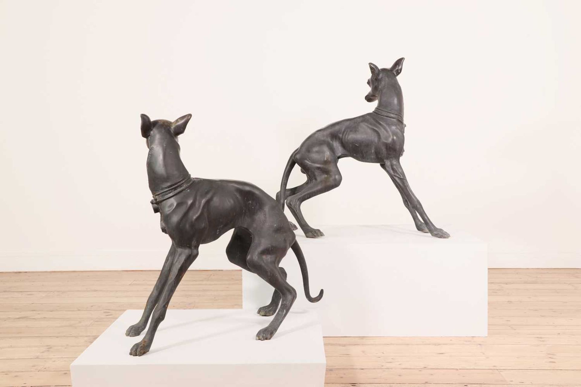 A pair of large bronze figures of whippets, - Image 3 of 5