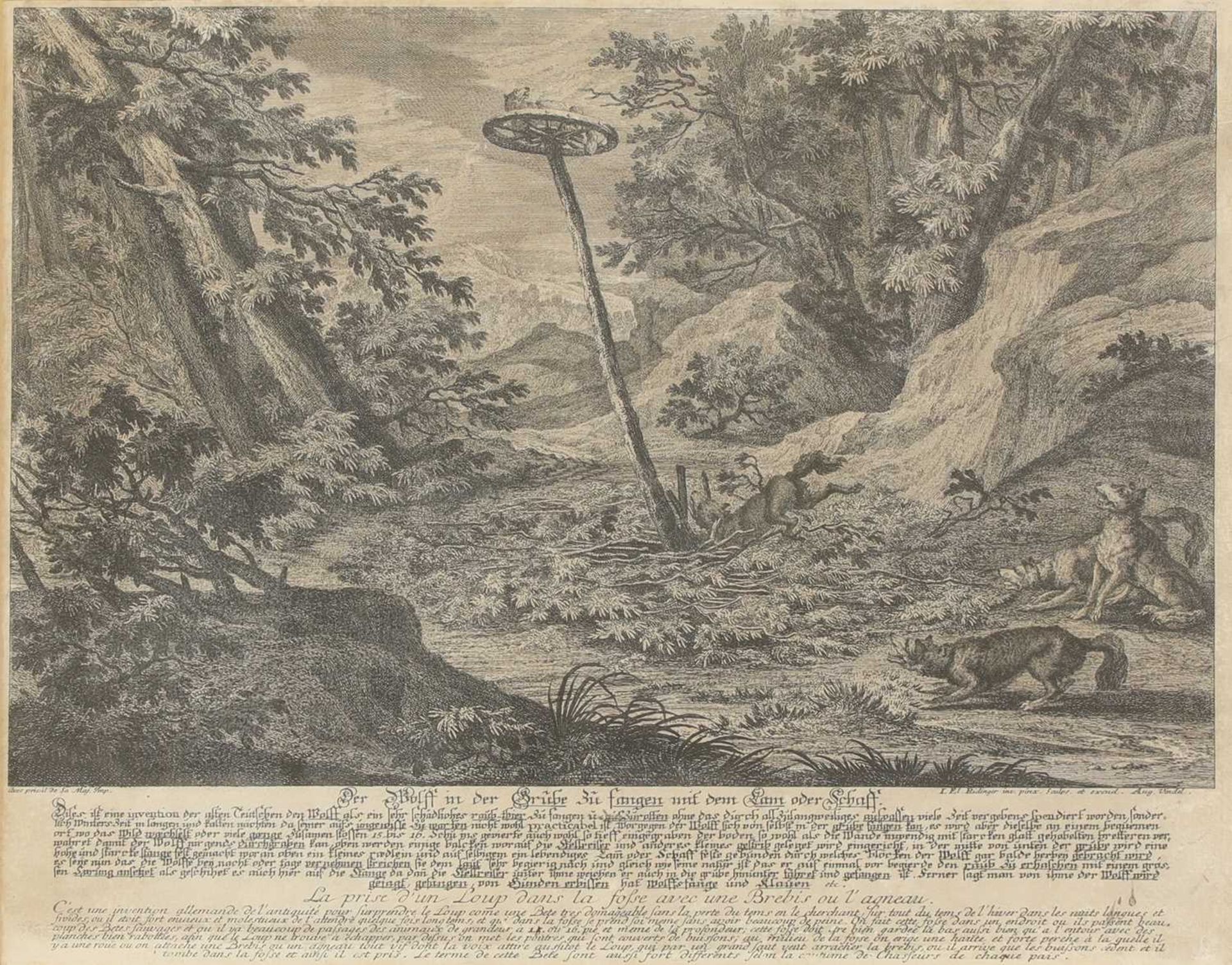 Johann Elias Ridinger (1698-1767) - Bild 9 aus 19