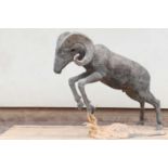A large bronze figure of a goat,
