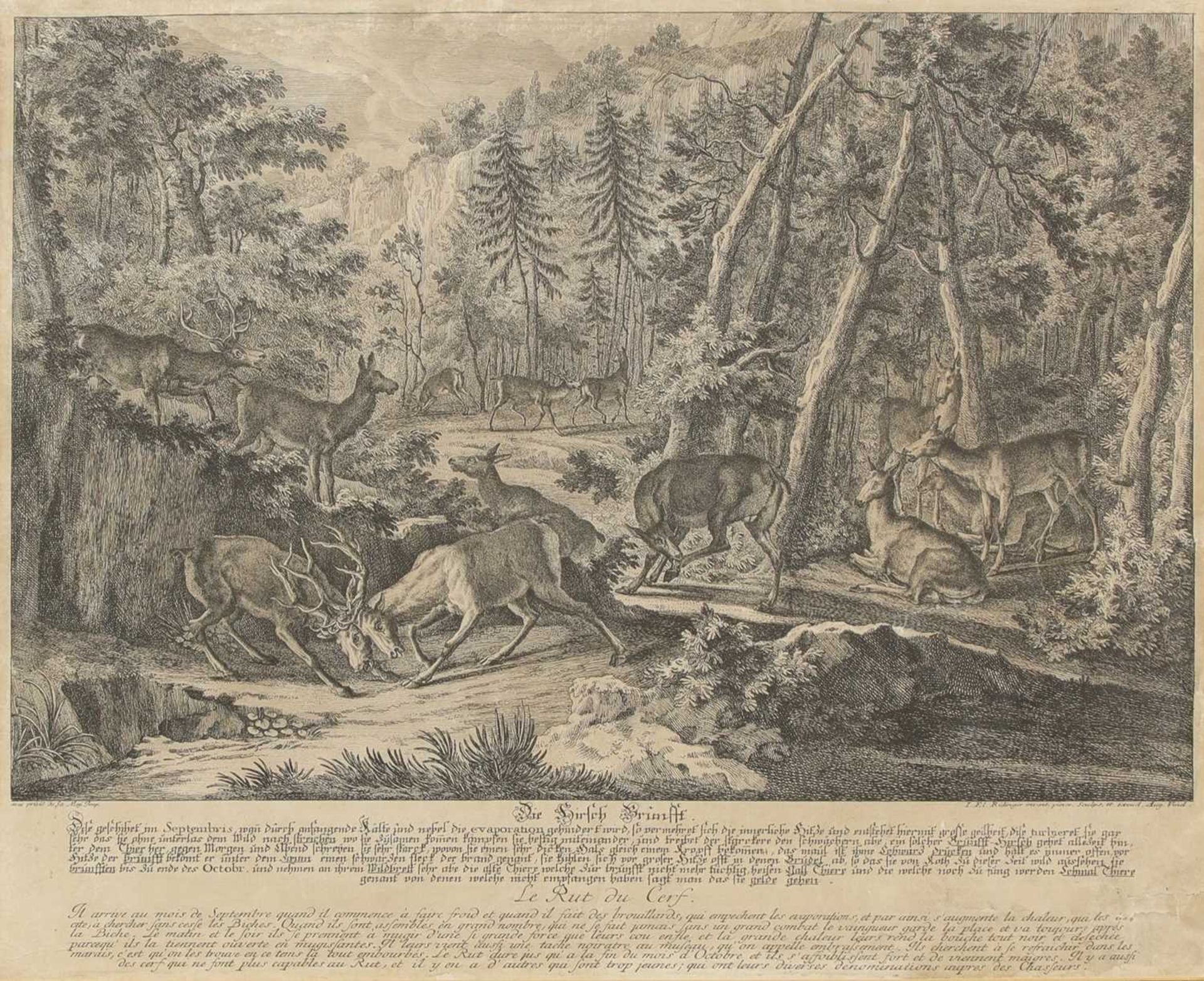 Johann Elias Ridinger (1698-1767) - Bild 11 aus 19