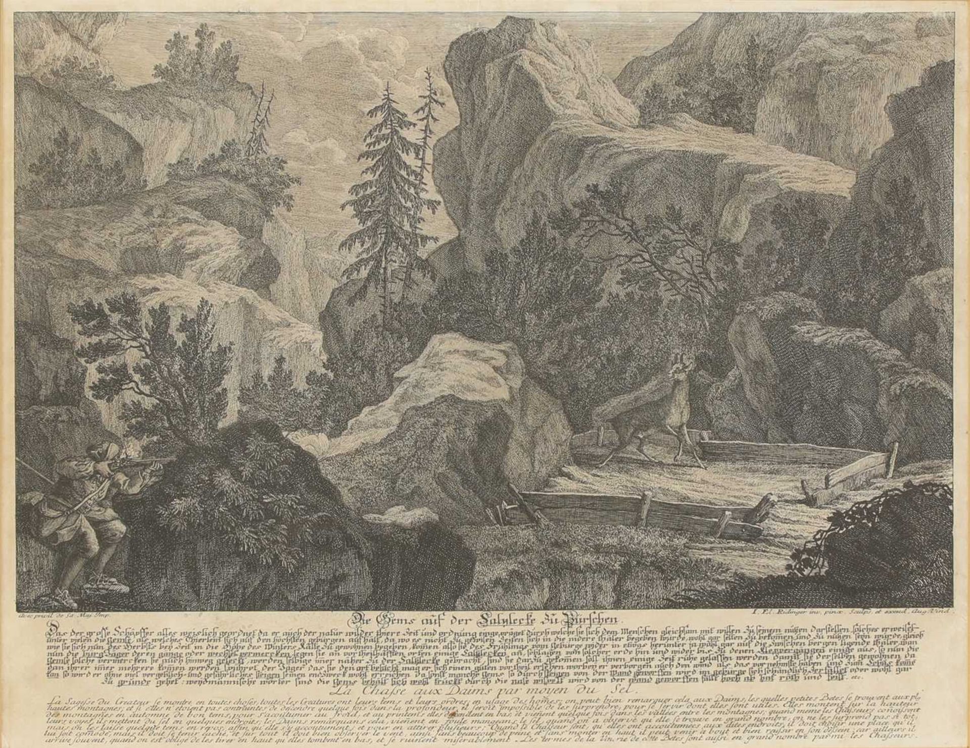 Johann Elias Ridinger (1698-1767) - Bild 7 aus 19