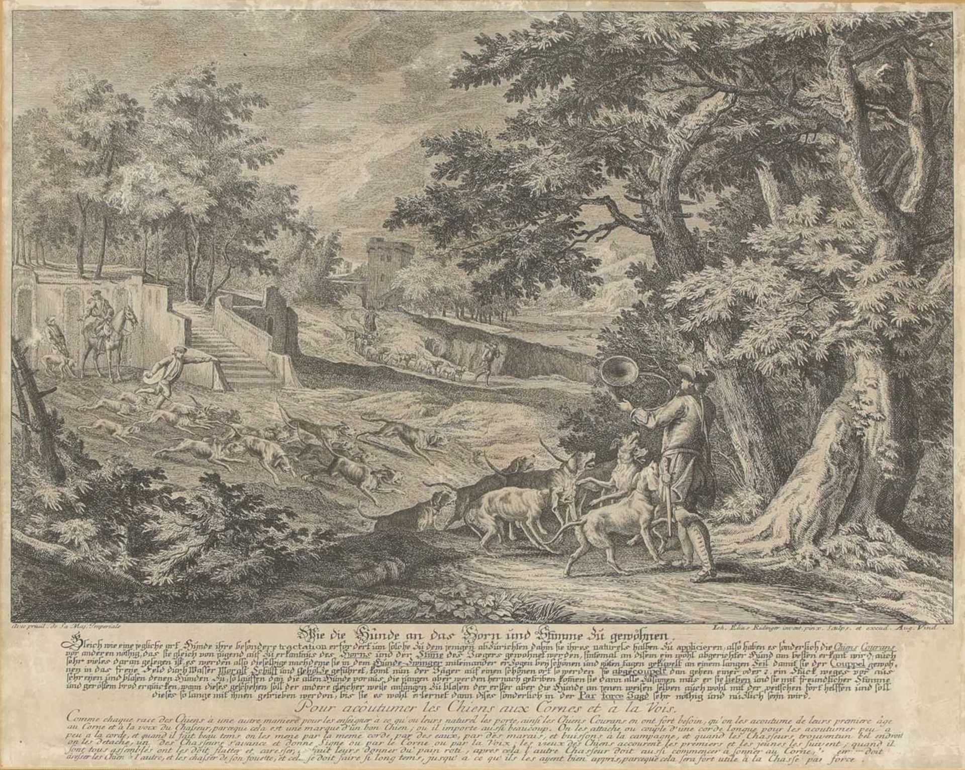 Johann Elias Ridinger (1698-1767) - Bild 5 aus 19