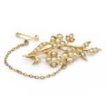 An Edwardian gold pearl spray brooch,