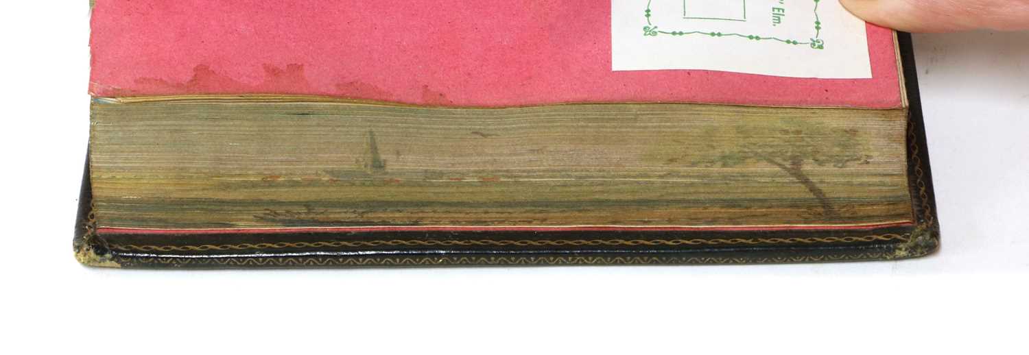 FORE-EDGE PAINTING: - Image 3 of 3