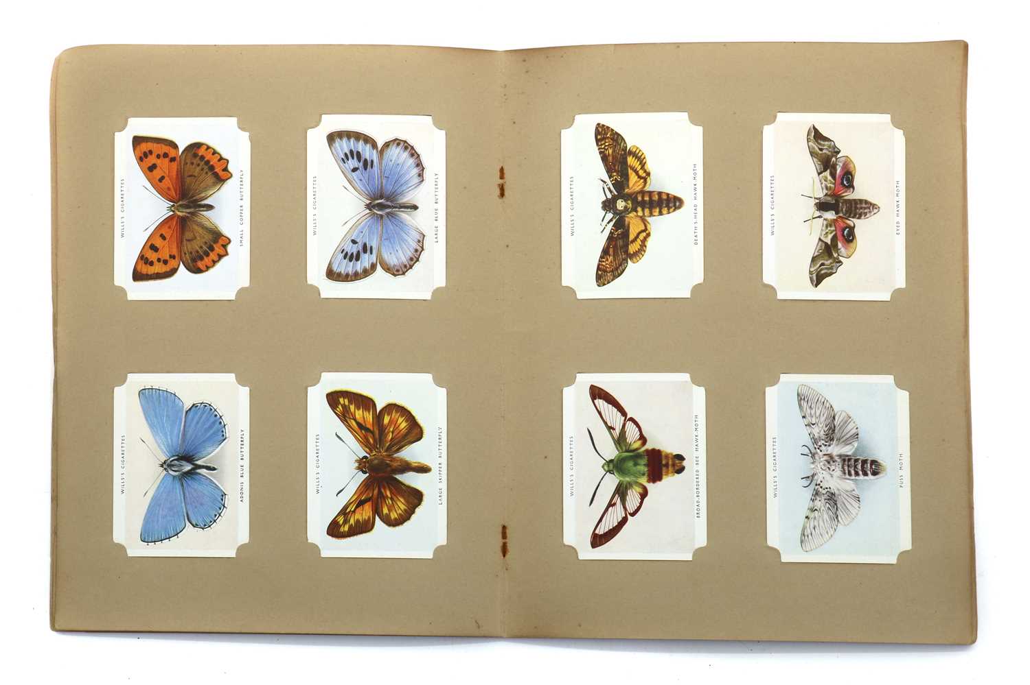 A large collection of cigarette cards, - Image 5 of 6