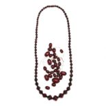 A single row graduated cherry coloured Bakelite bead necklace,