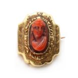 A gold coral cameo brooch,