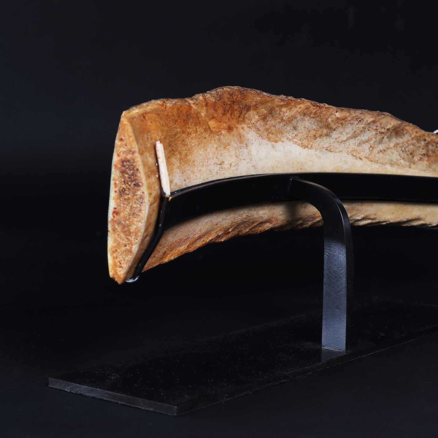 A scrimshaw pan-bone panel, - Image 4 of 6