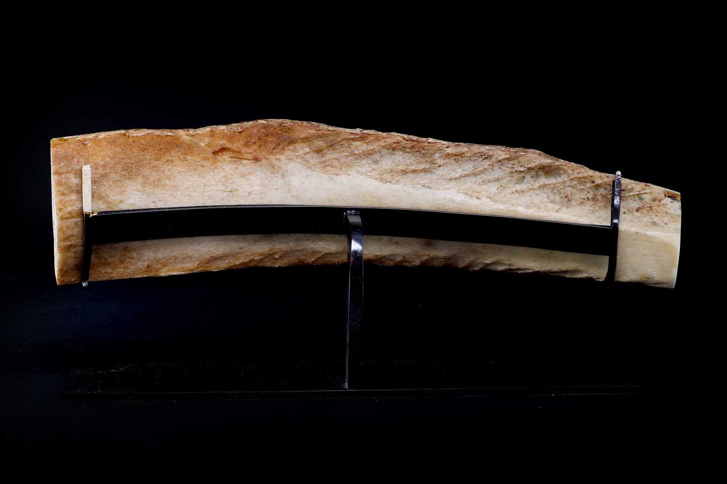 A scrimshaw pan-bone panel, - Image 6 of 6