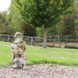 A large piece of bleached stalagmite