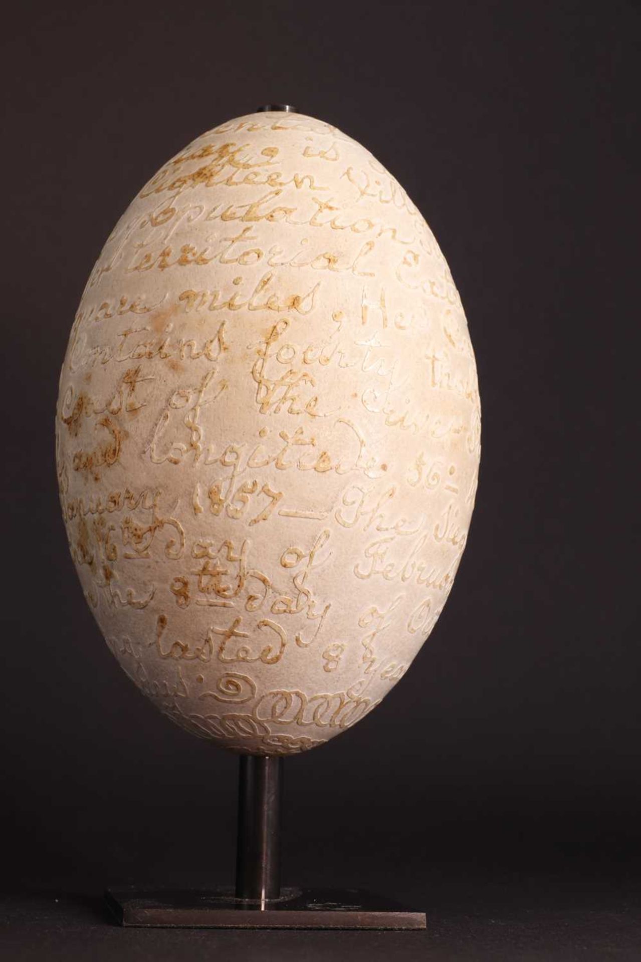 A carved rhea egg, - Image 8 of 15