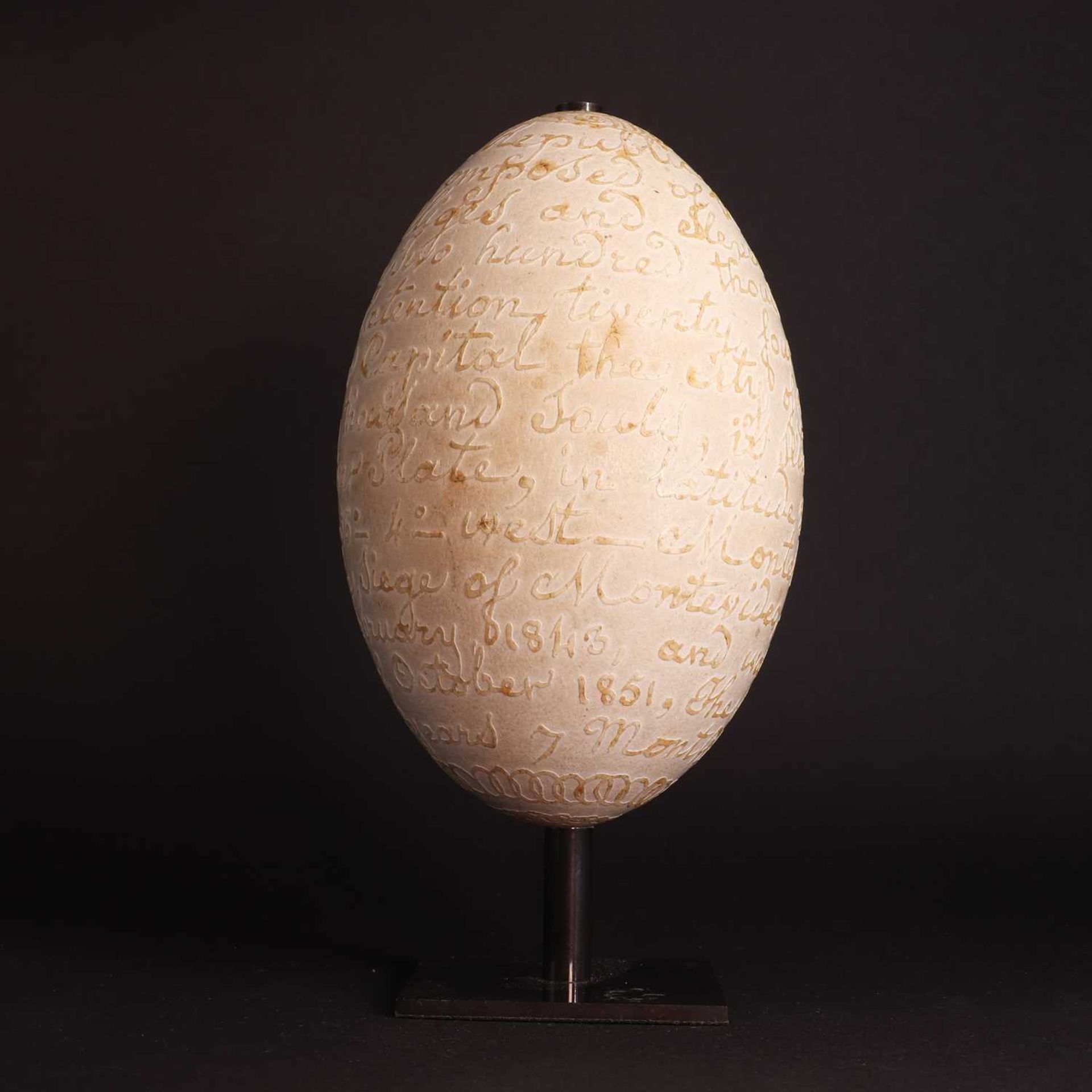 A carved rhea egg, - Image 3 of 15