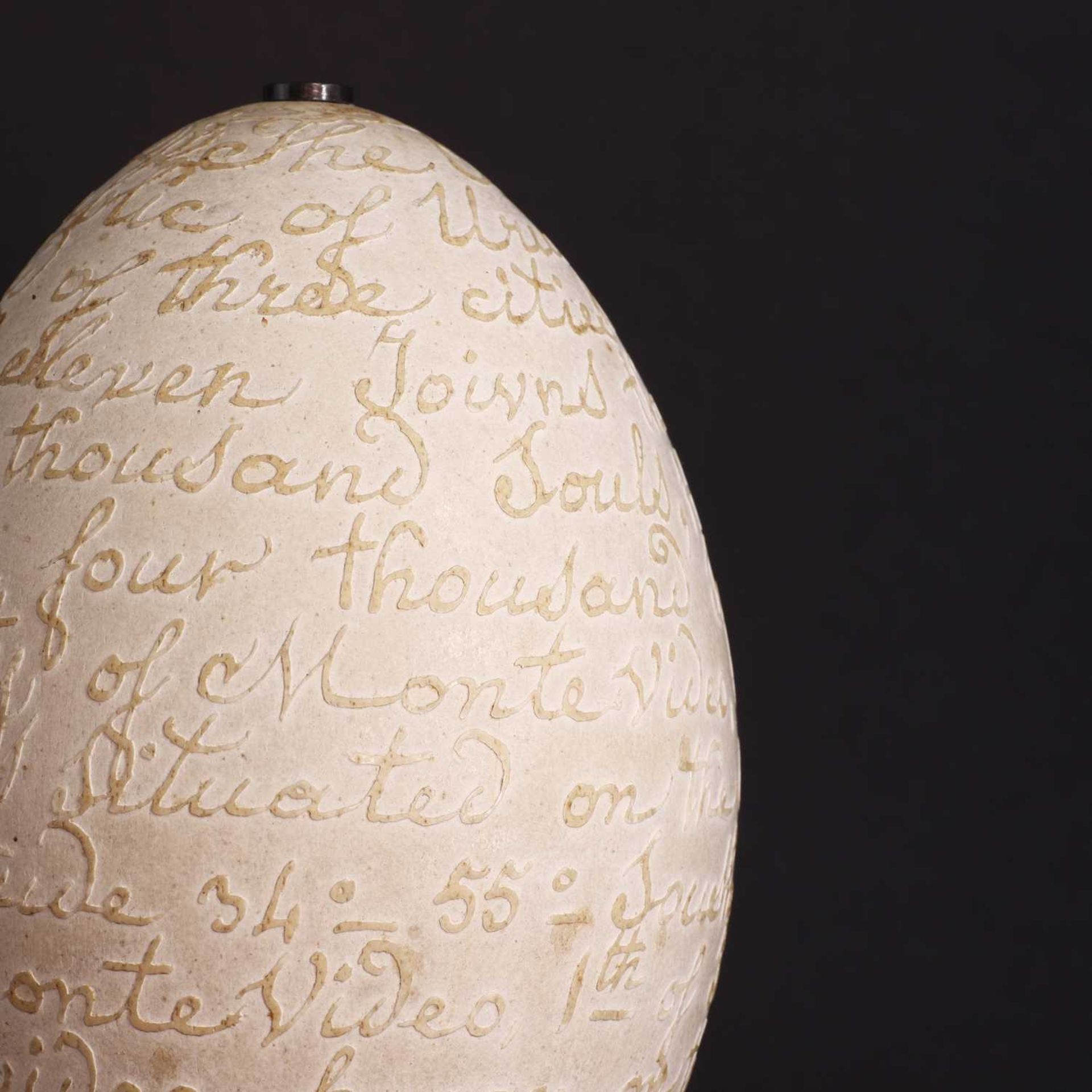 A carved rhea egg, - Image 5 of 15