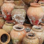 A collection of twenty-nine terracotta pots,