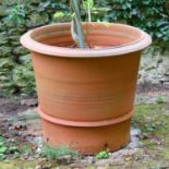 Three large terracotta pots,