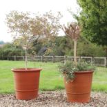 A pair of large Whichford Pottery terracotta pots,