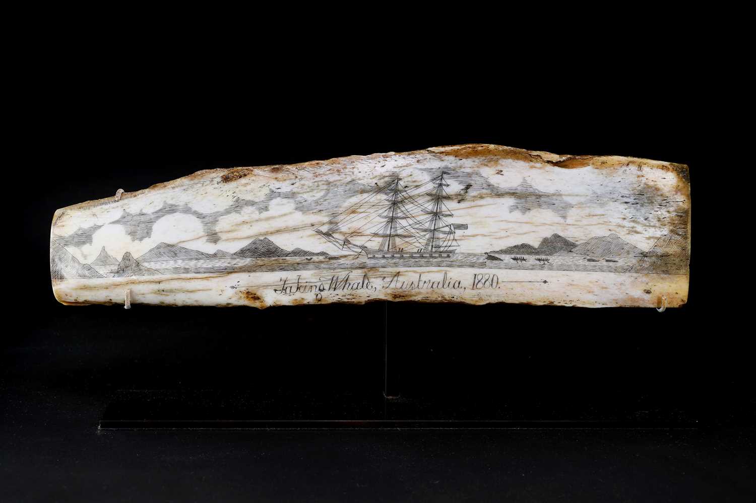 A scrimshaw pan-bone panel, - Image 5 of 6