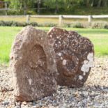 Two ammonite fossil impressions,