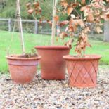 Three Whichford Pottery terracotta pots,