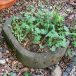 A Cotswold stone trough