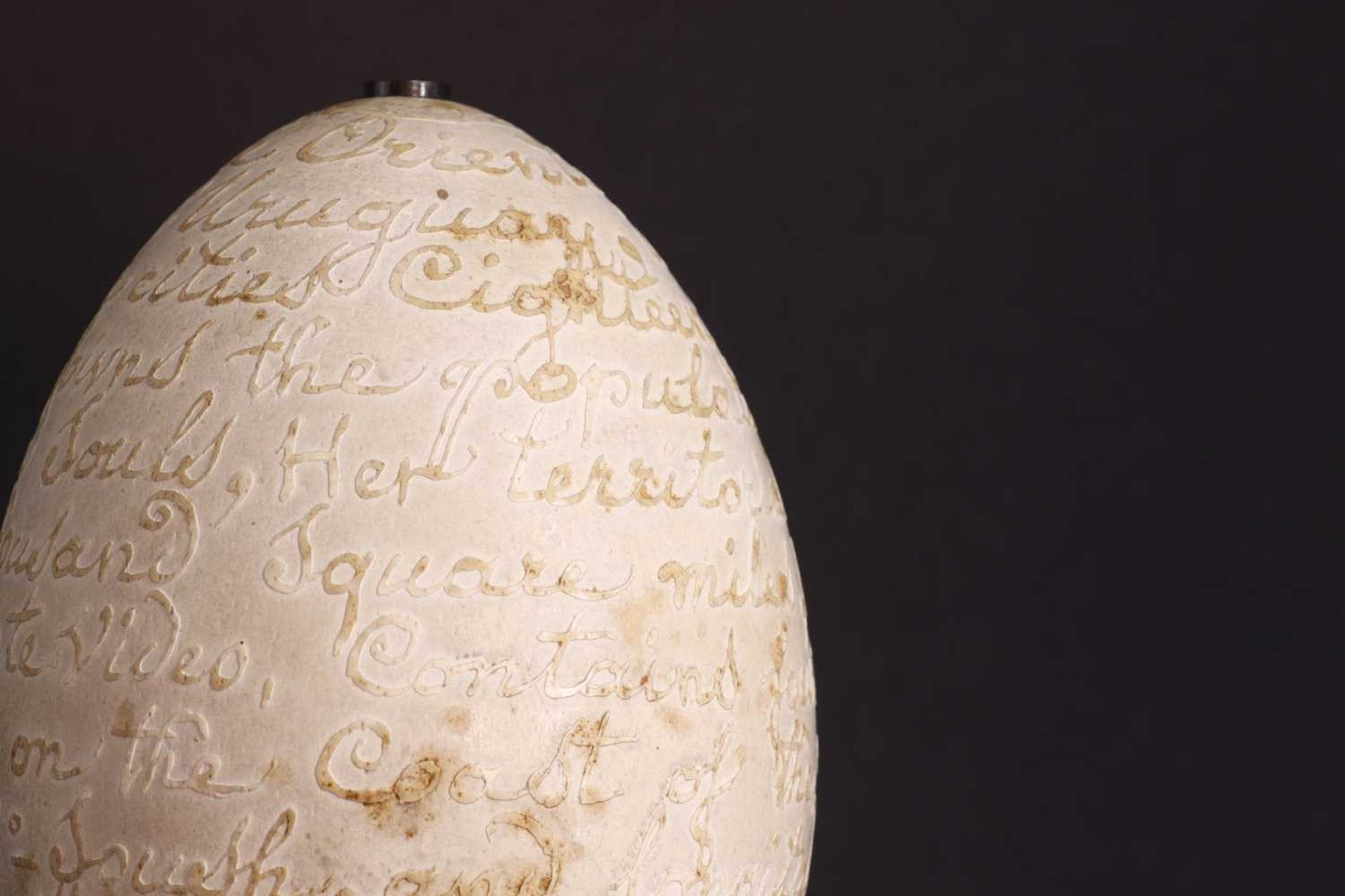 A carved rhea egg, - Image 9 of 15