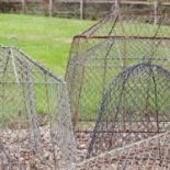 A group of wire mesh cloches,