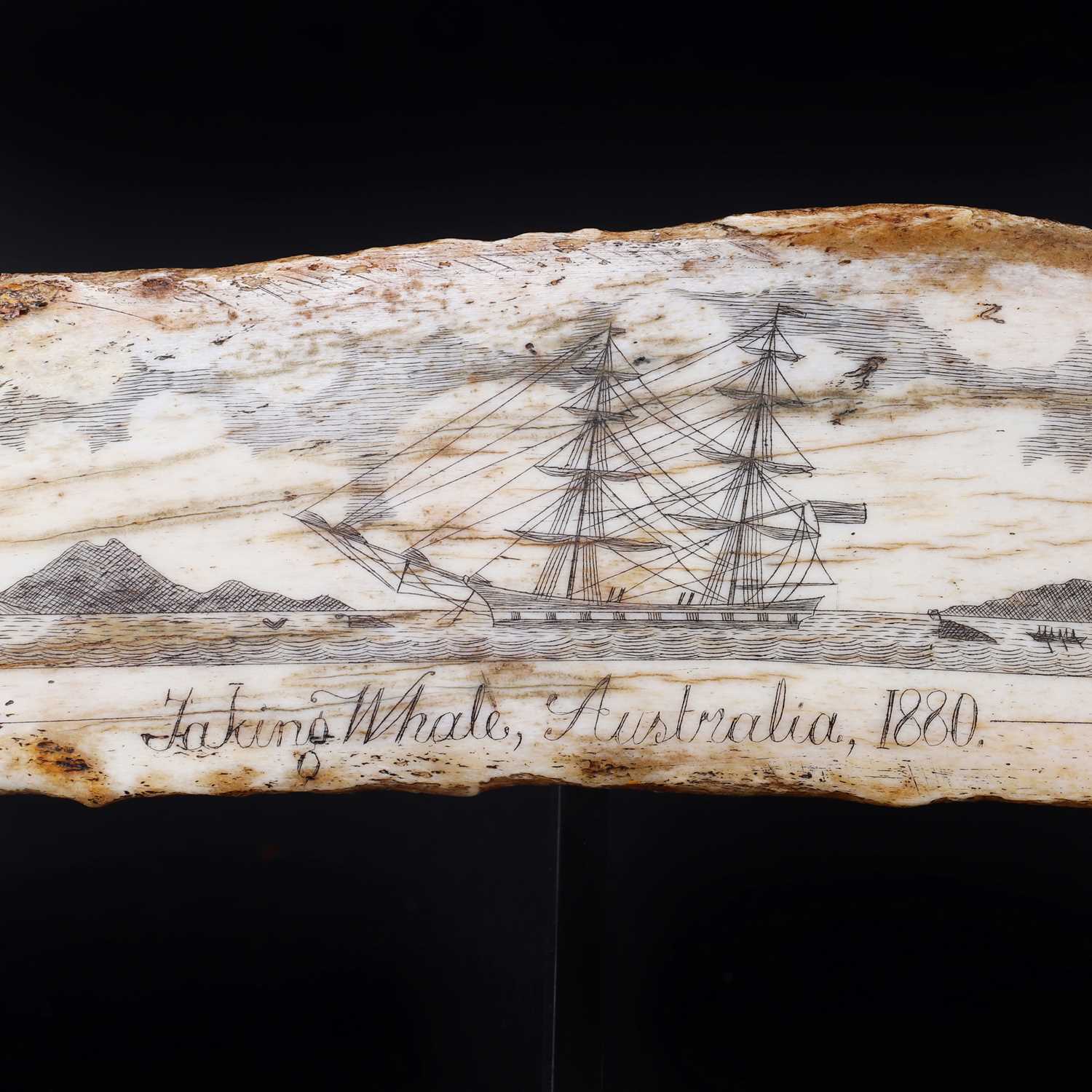A scrimshaw pan-bone panel, - Image 2 of 6