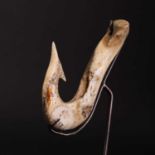 A Maori bone 'hei matau' fish hook,