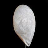 An Aboriginal shell phallocrypt,