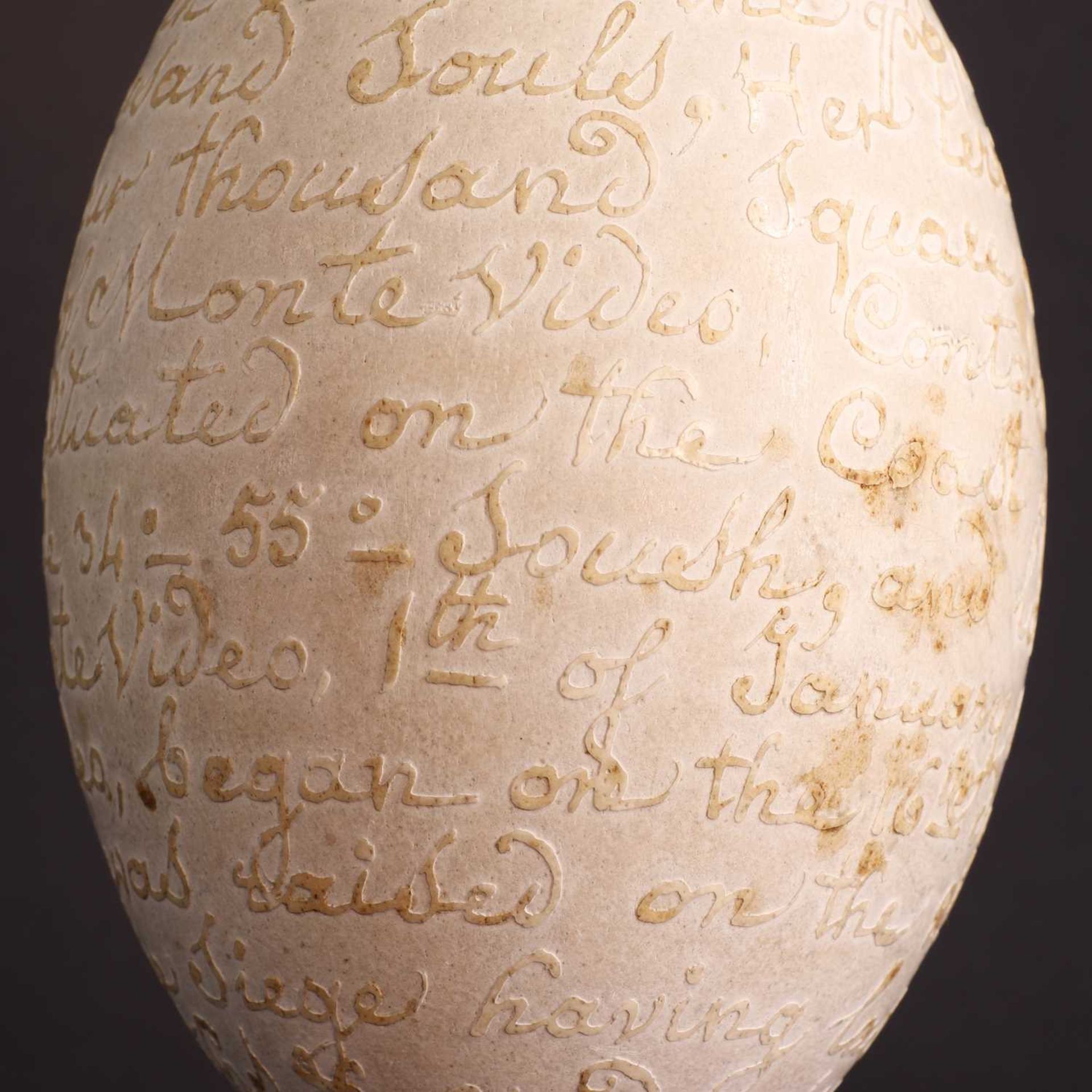 A carved rhea egg, - Image 6 of 15