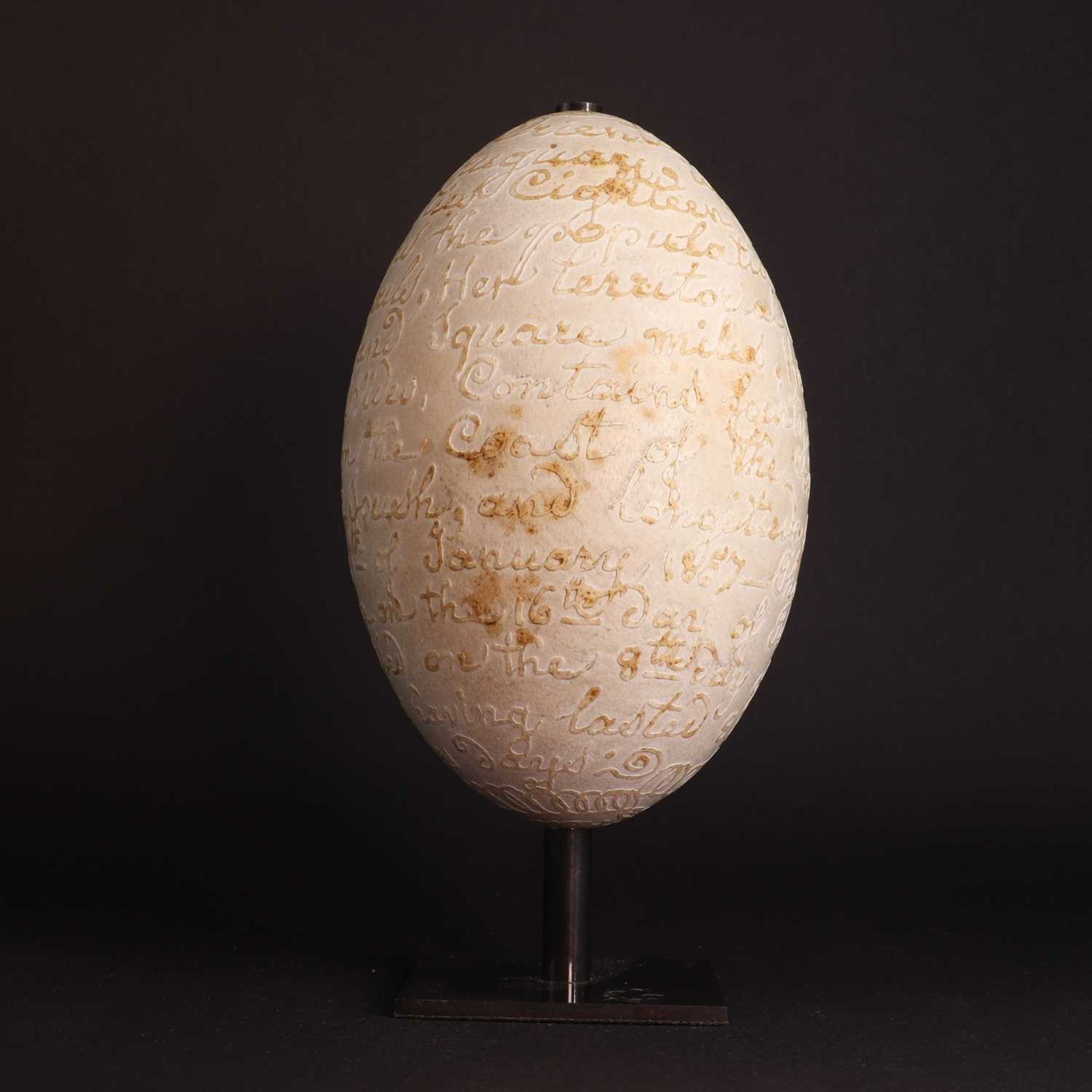 A carved rhea egg,