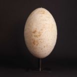 A carved rhea egg,