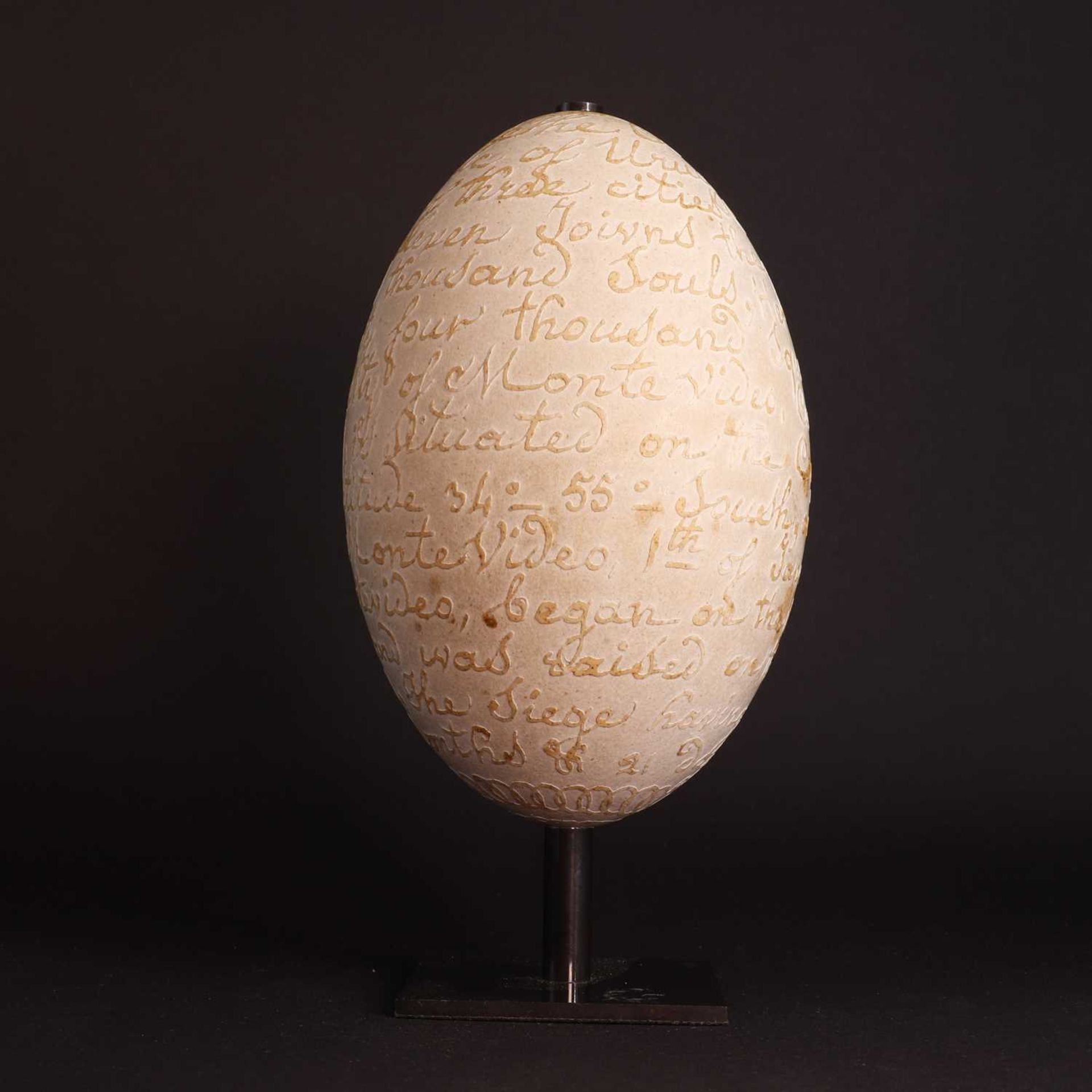 A carved rhea egg, - Image 4 of 15