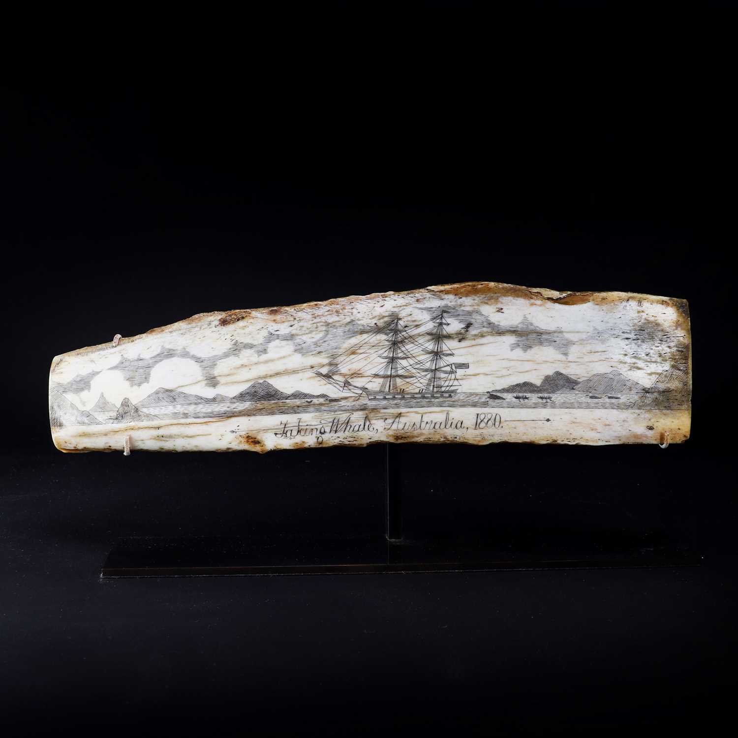 A scrimshaw pan-bone panel,