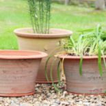 A pair of Whichford Pottery planters,