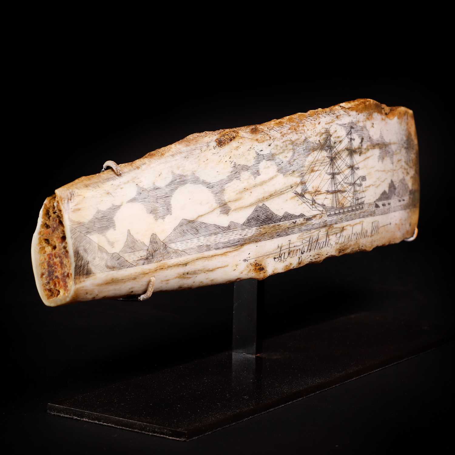 A scrimshaw pan-bone panel, - Image 3 of 6