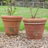A pair of Whichford terracotta pots,
