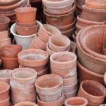 A large quantity of terracotta flower pots,