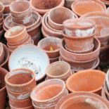 A large quantity of terracotta pots,
