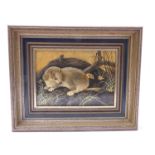 A good artist's oil on board study of a stoat, initialled lower centre JWB, gilt-framed (13cm x