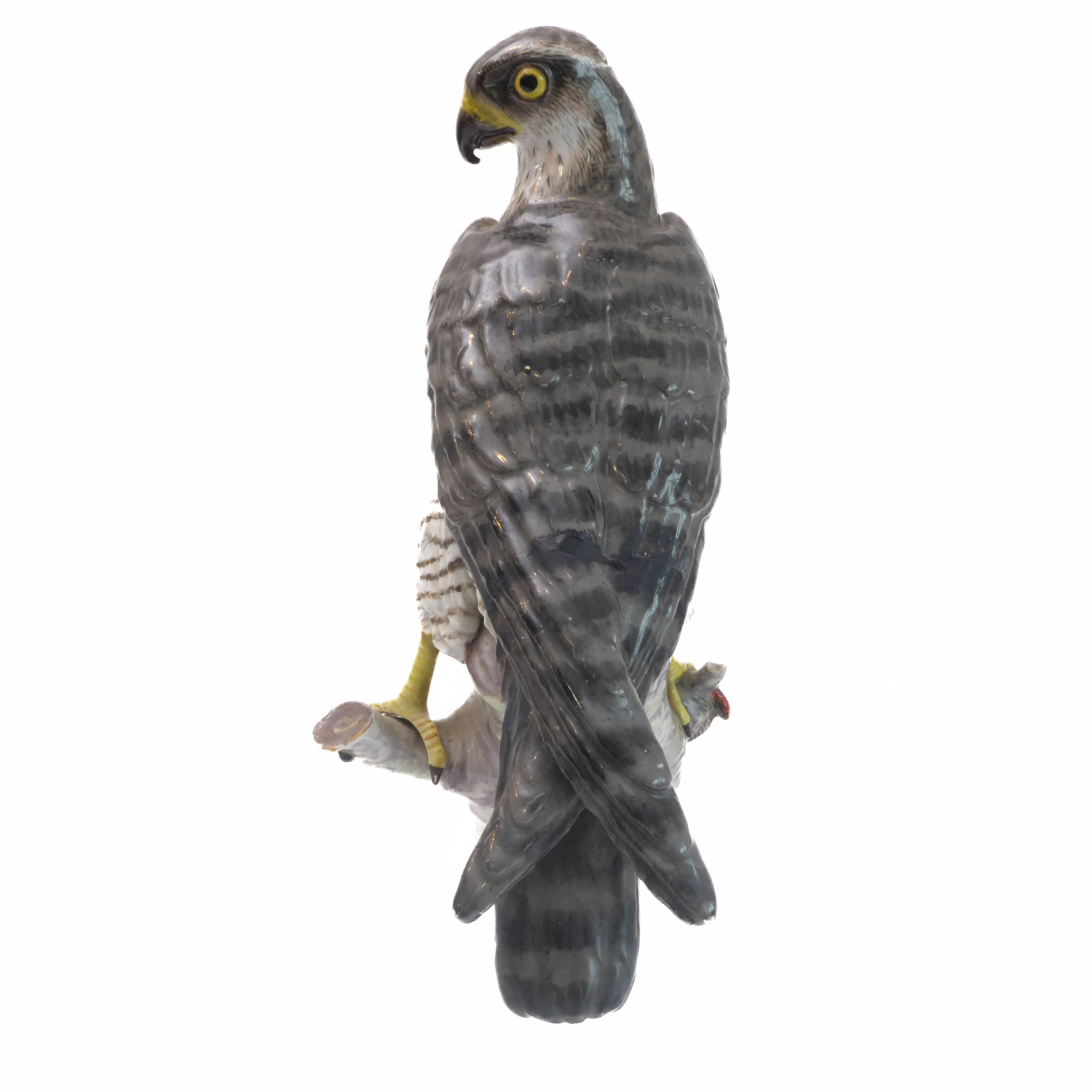 An early 20th century hand-decorated German porcelain model of a goshawk perched on a branch with - Image 4 of 9