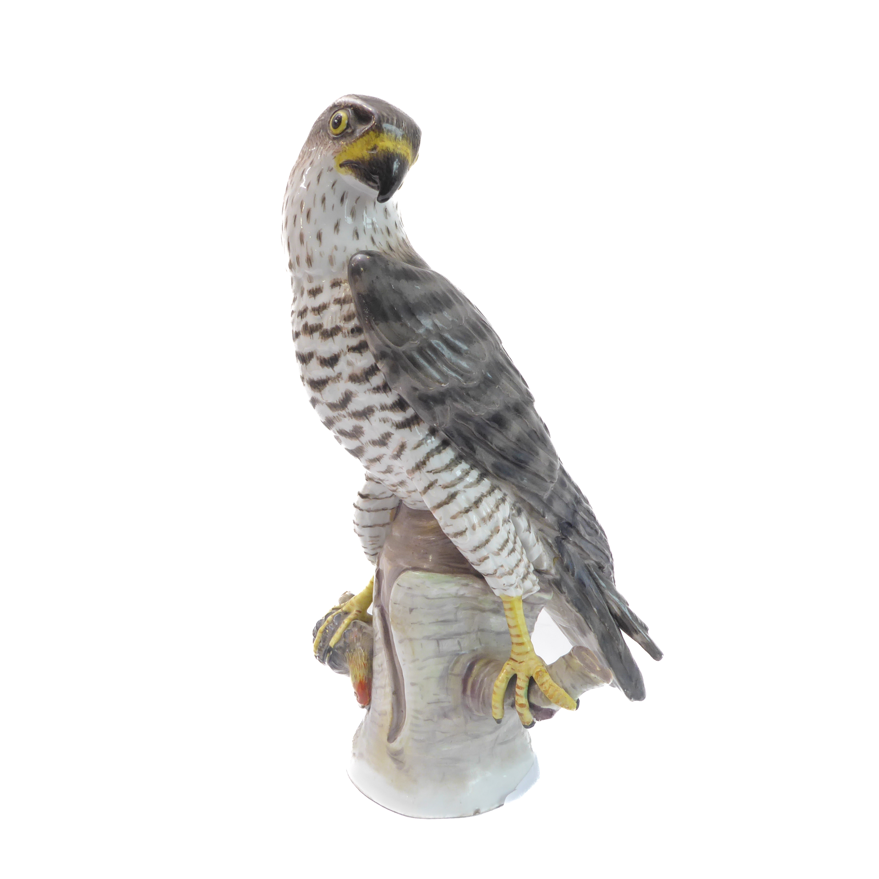 An early 20th century hand-decorated German porcelain model of a goshawk perched on a branch with